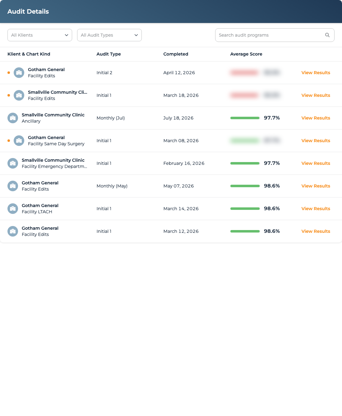 Audit Details table with Klient and audit type filters, search, and released results