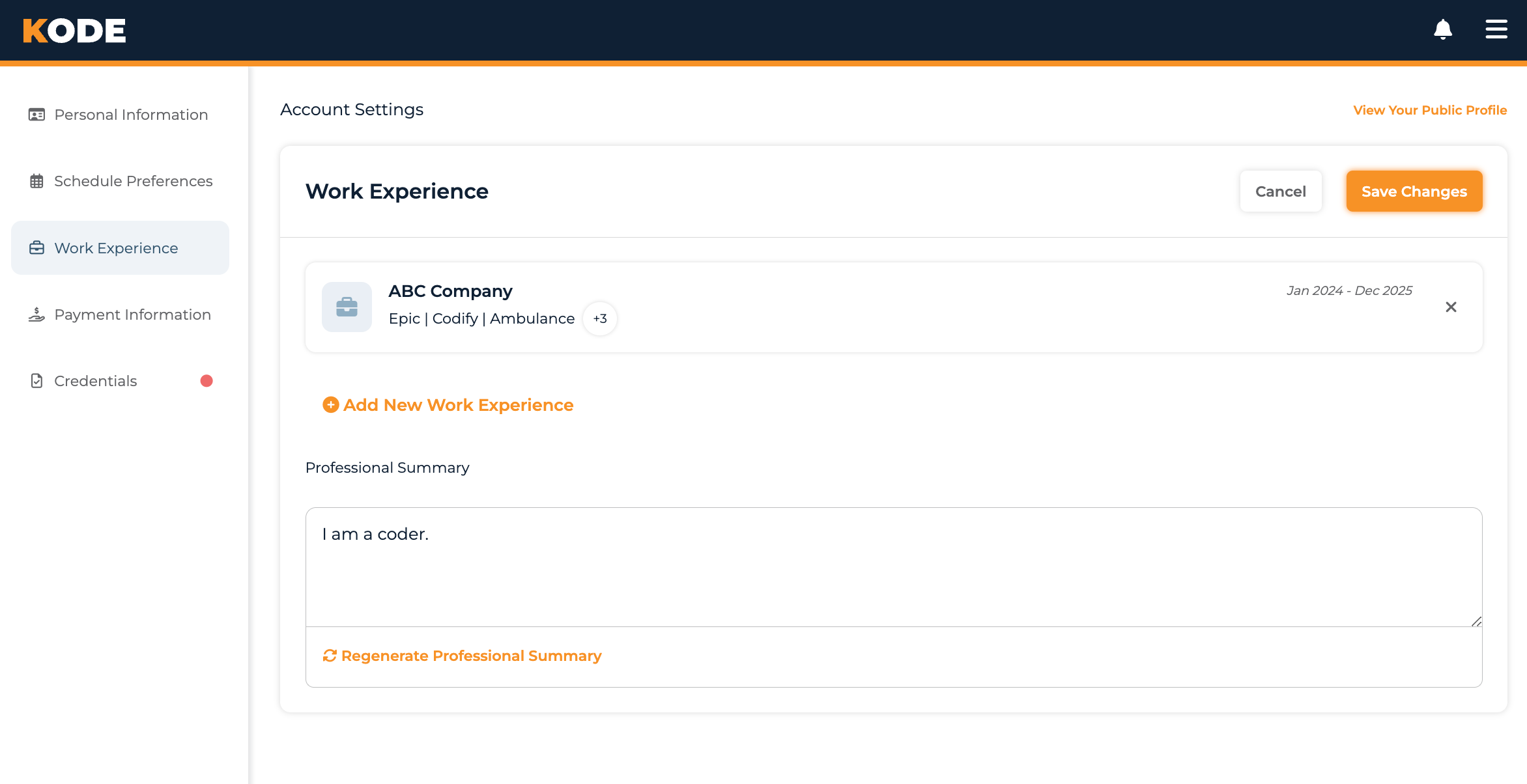 Work Experience page with the list of entries and the Professional Summary section